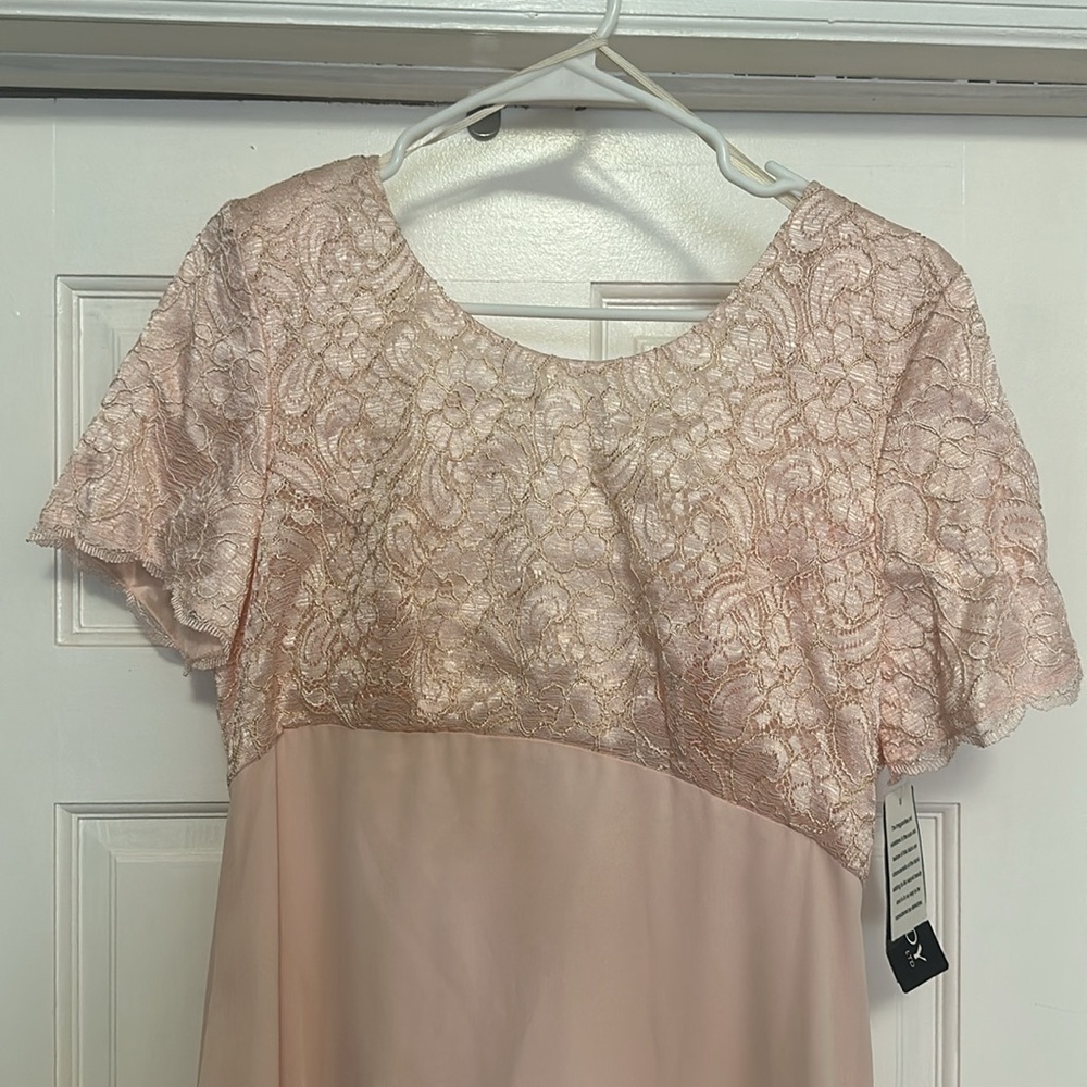 Light Pink Rhapsody Dress - Picture 2 of 6